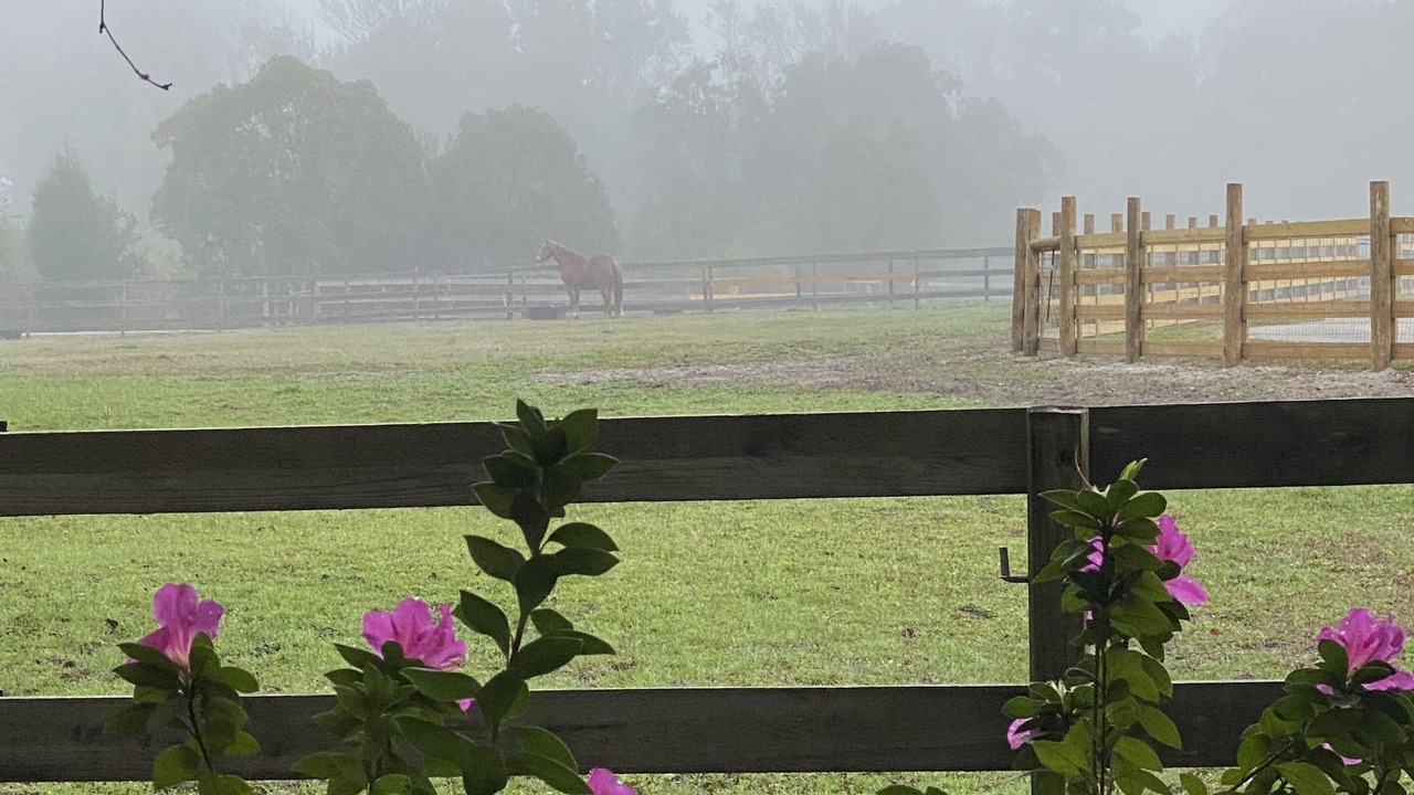 Photo of Outdoor in Land O' Lakes