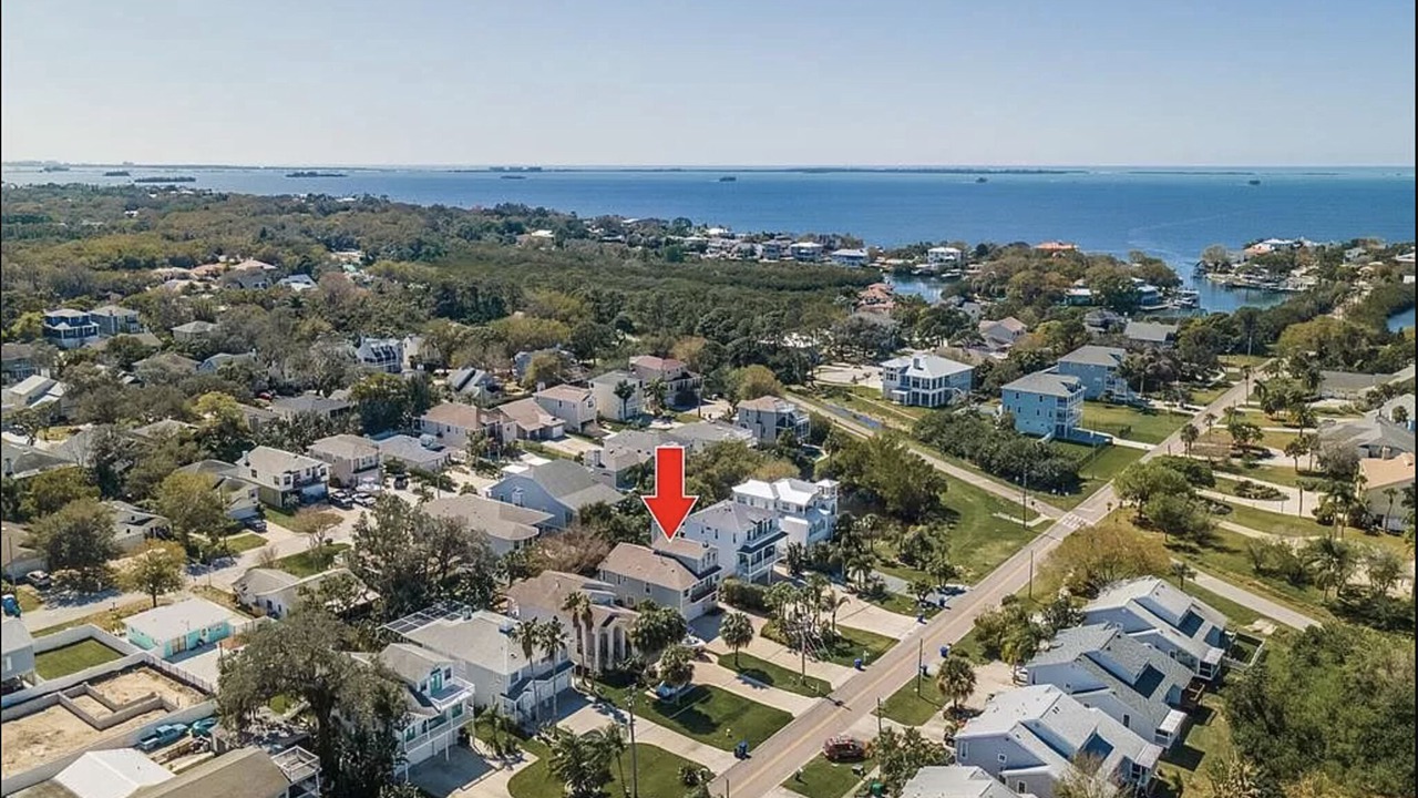 Photo of Outdoor in Palm Harbor