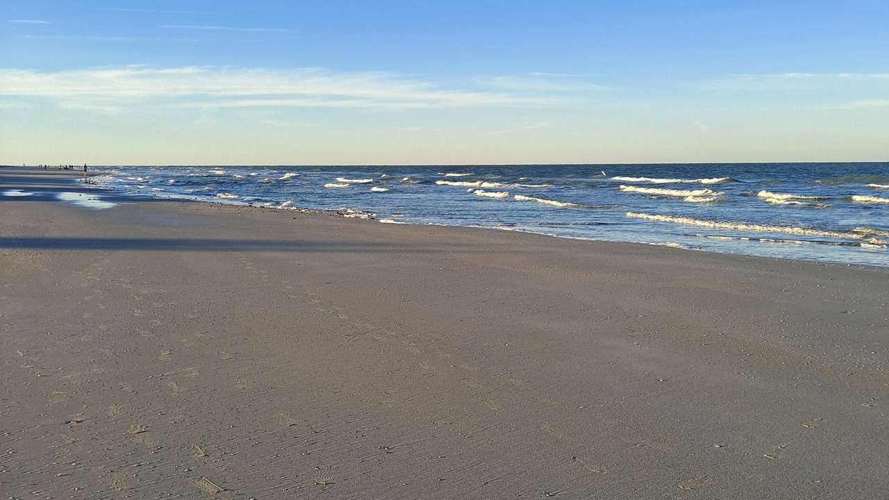 Photo of Others in Indian Rocks Beach