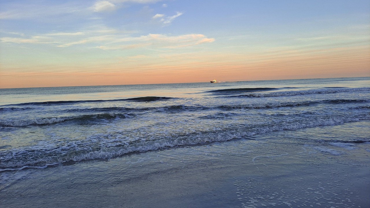 Photo of Others in Indian Rocks Beach
