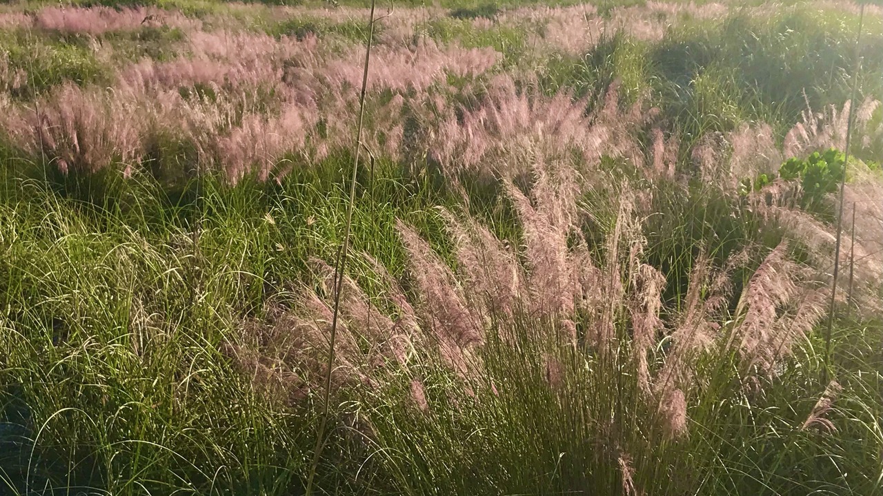Photo of Outdoor in River District