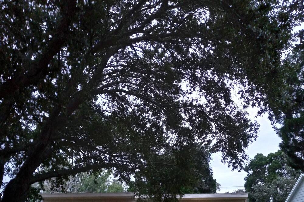 Photo of Others in Disston Heights