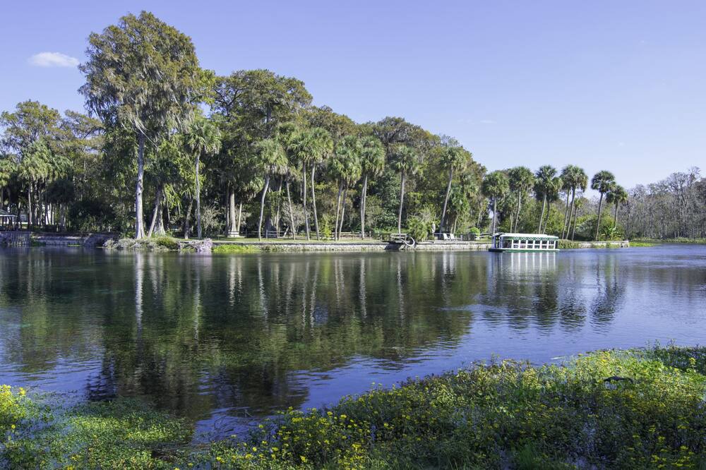 Photo of Others in Silver Springs