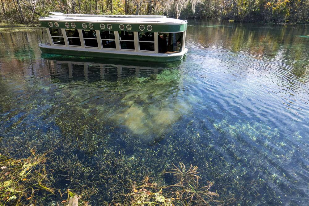 Photo of Others in Silver Springs