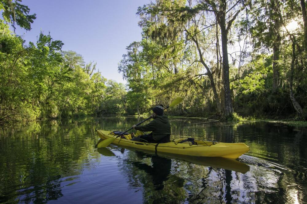 Photo of Others in Silver Springs