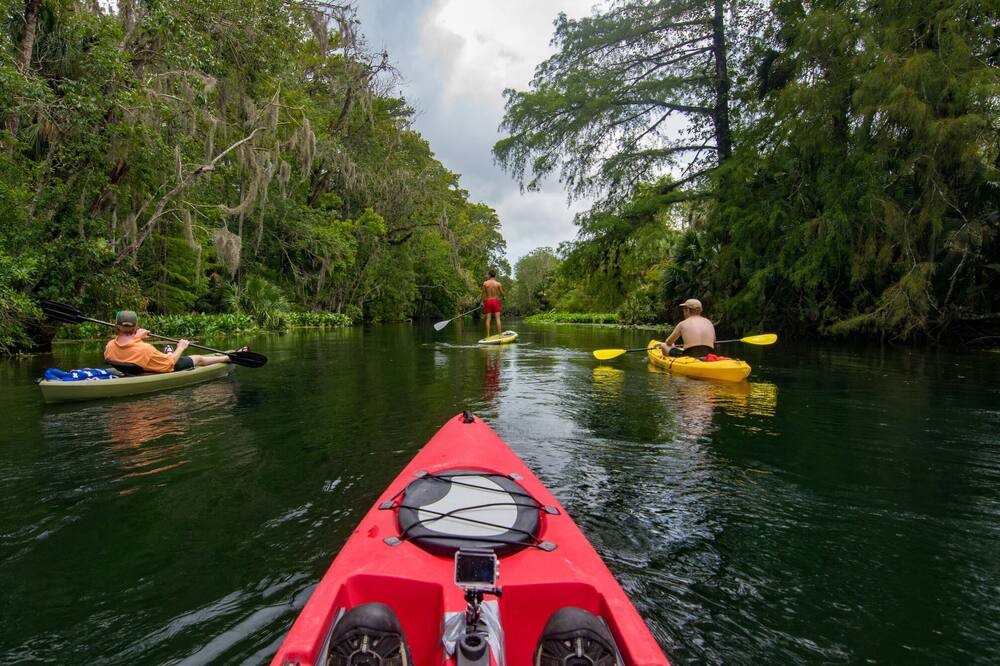 Photo of Others in Silver Springs