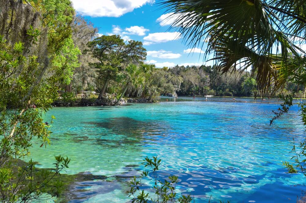 Photo of Others in Silver Springs