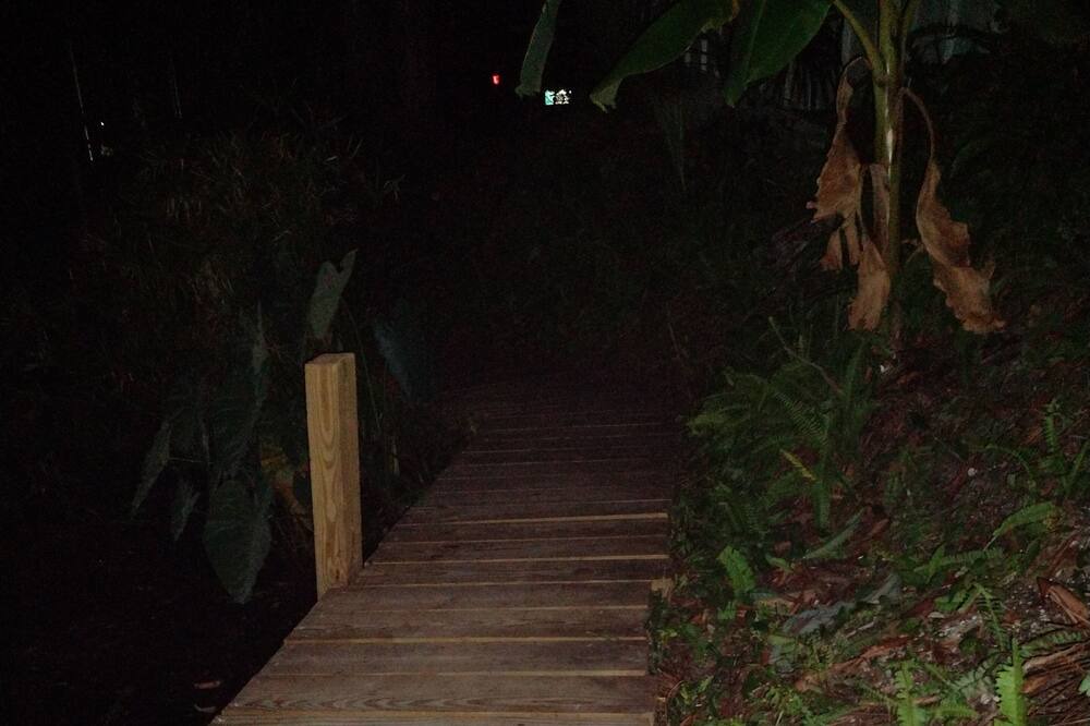 Photo of Outdoor in Chassahowitzka