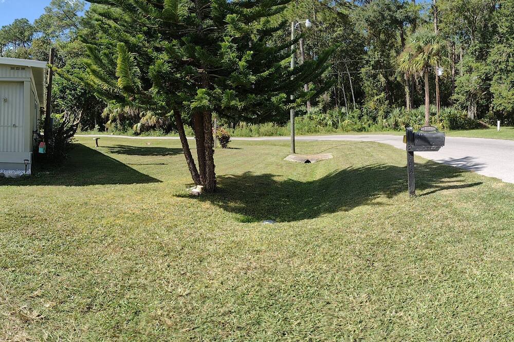 Photo of Others in Chassahowitzka