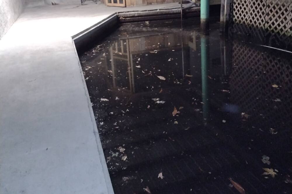 Photo of Others in Chassahowitzka