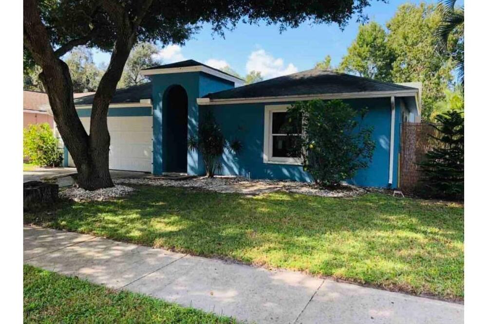 Photo of Outdoor in Clearwater
