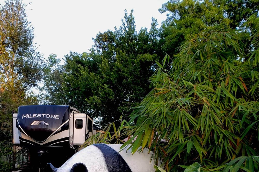 Photo of Outdoor in Dade City