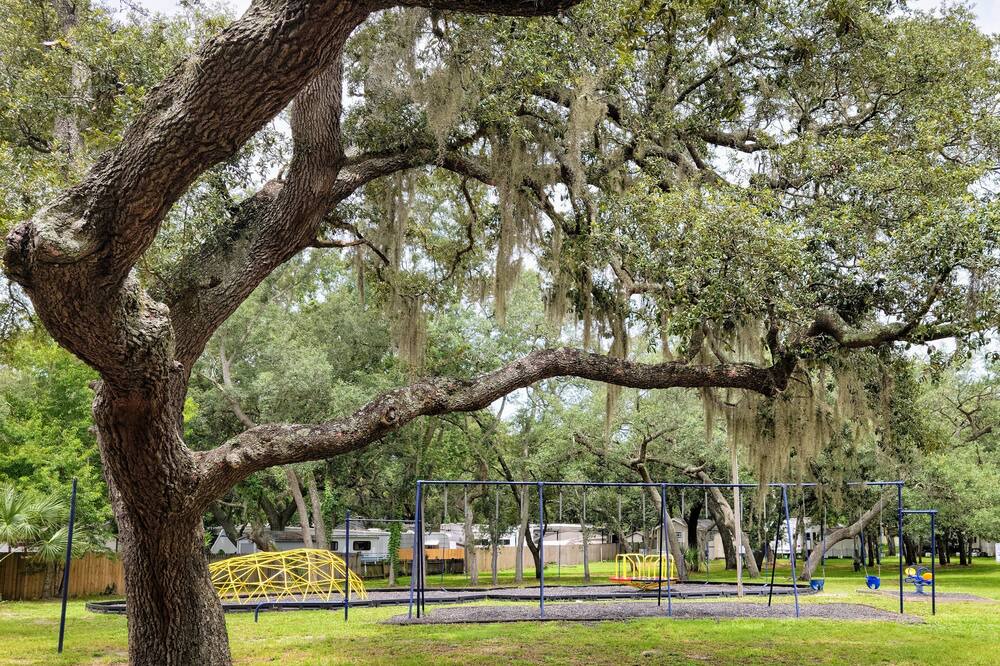 Photo of Outdoor in Apopka