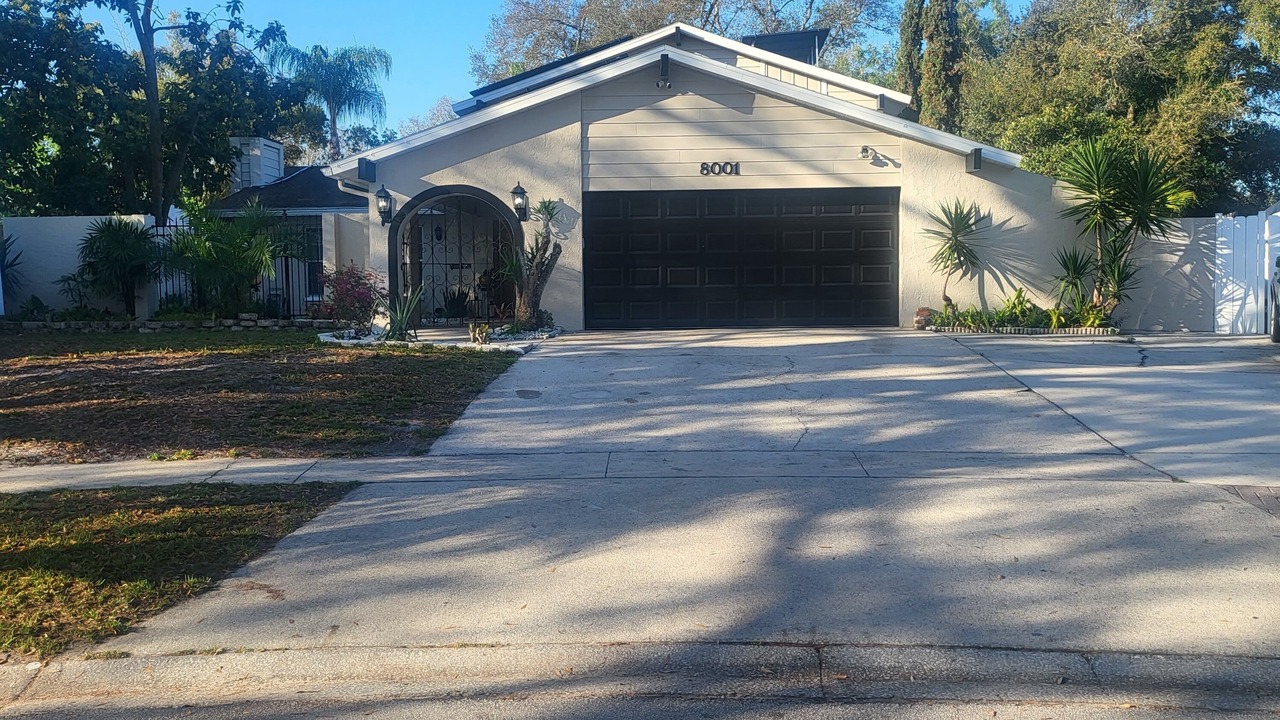 Photo of Outdoor in Tampa