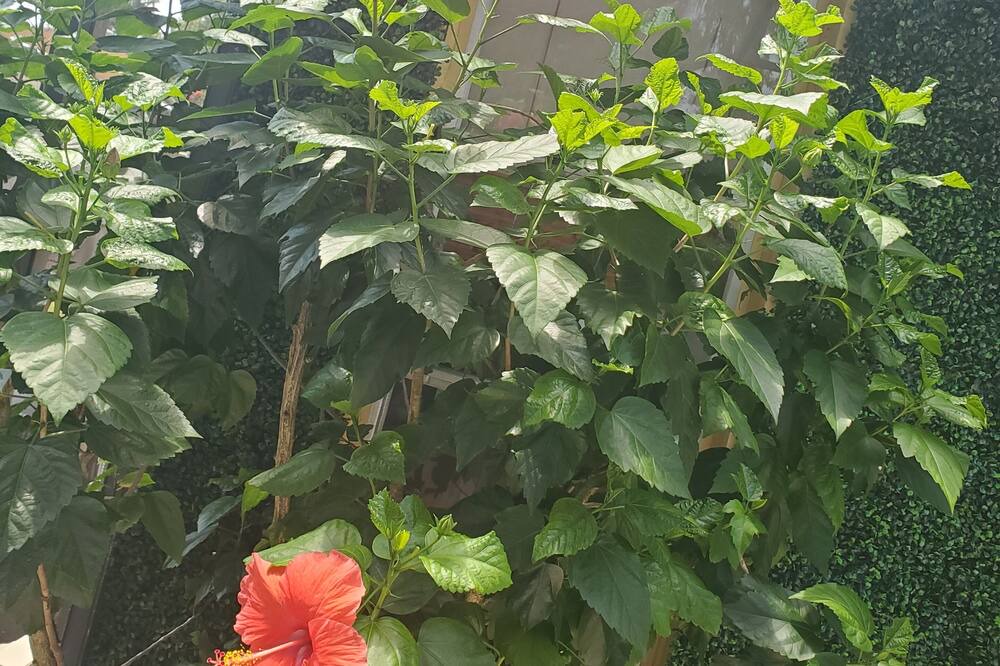 Photo of Outdoor in Country Place