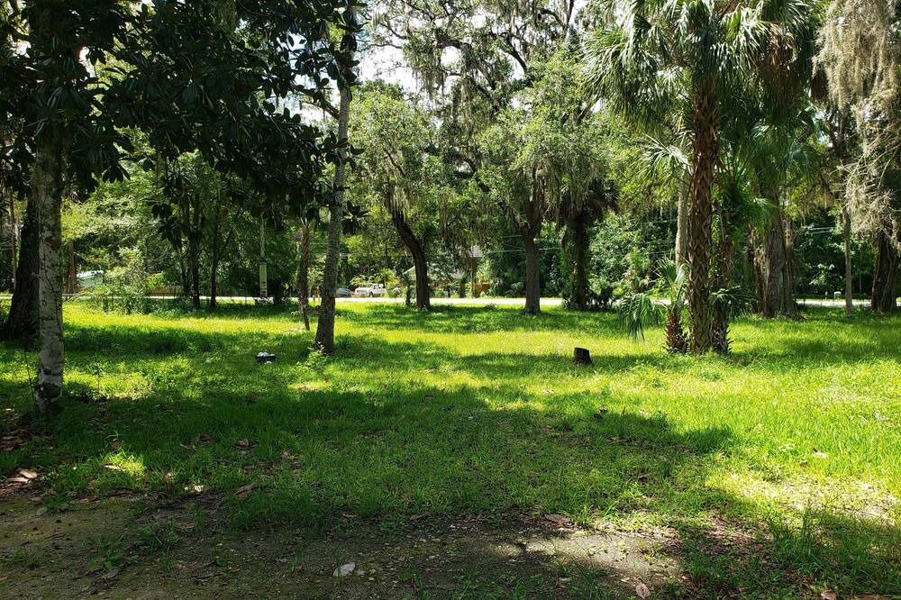 Photo of Others in Homosassa