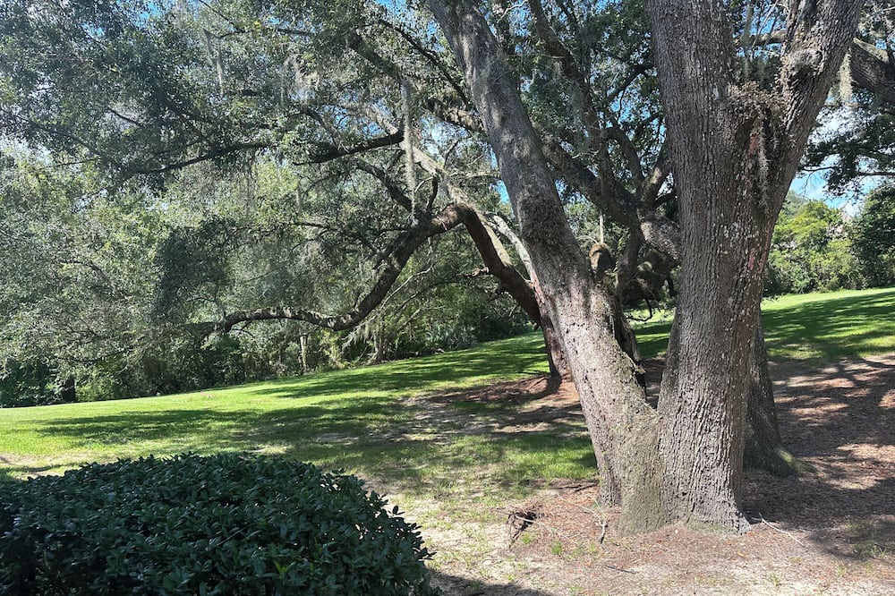 Photo of Outdoor in Gainesville