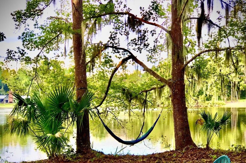 Photo of Outdoor in Palatka
