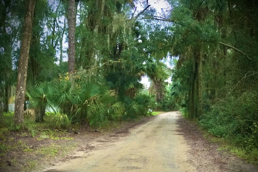Photo of Outdoor in Palatka
