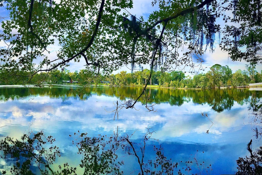 Photo of Outdoor in Palatka