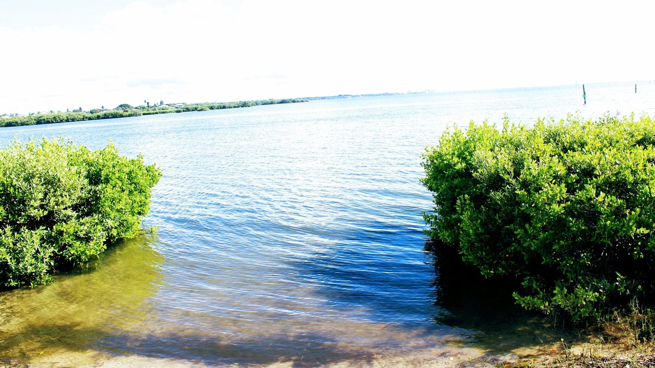 Photo of Others in Bayshore Gardens