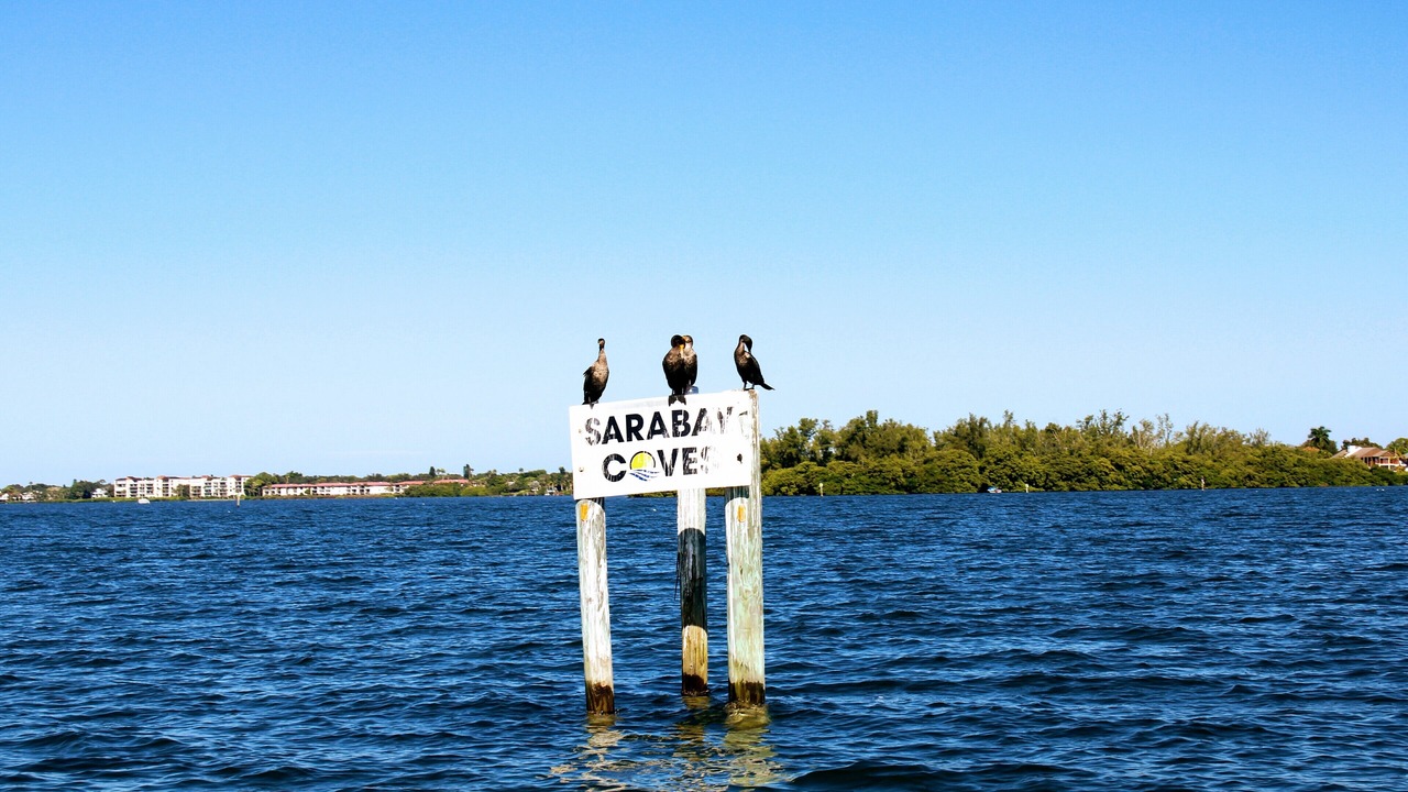 Photo of Others in Bayshore Gardens
