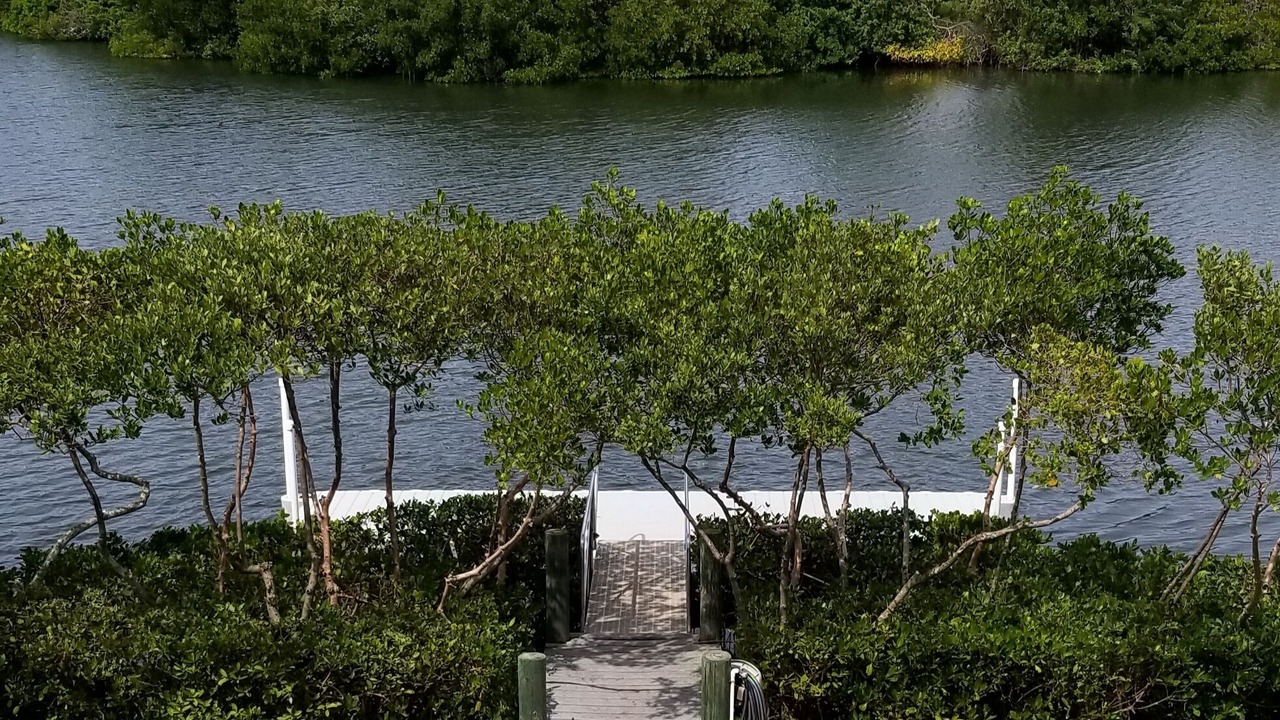 Photo of Outdoor in Palmetto