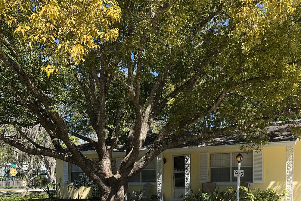 Photo of Outdoor in Holly Hill
