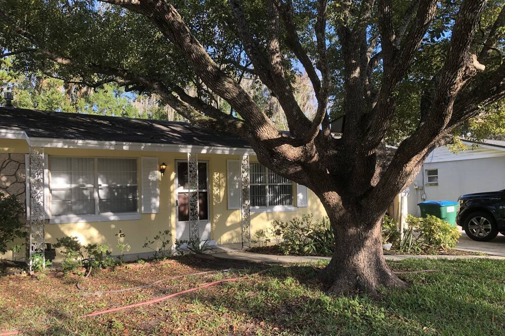 Photo of Outdoor in Holly Hill