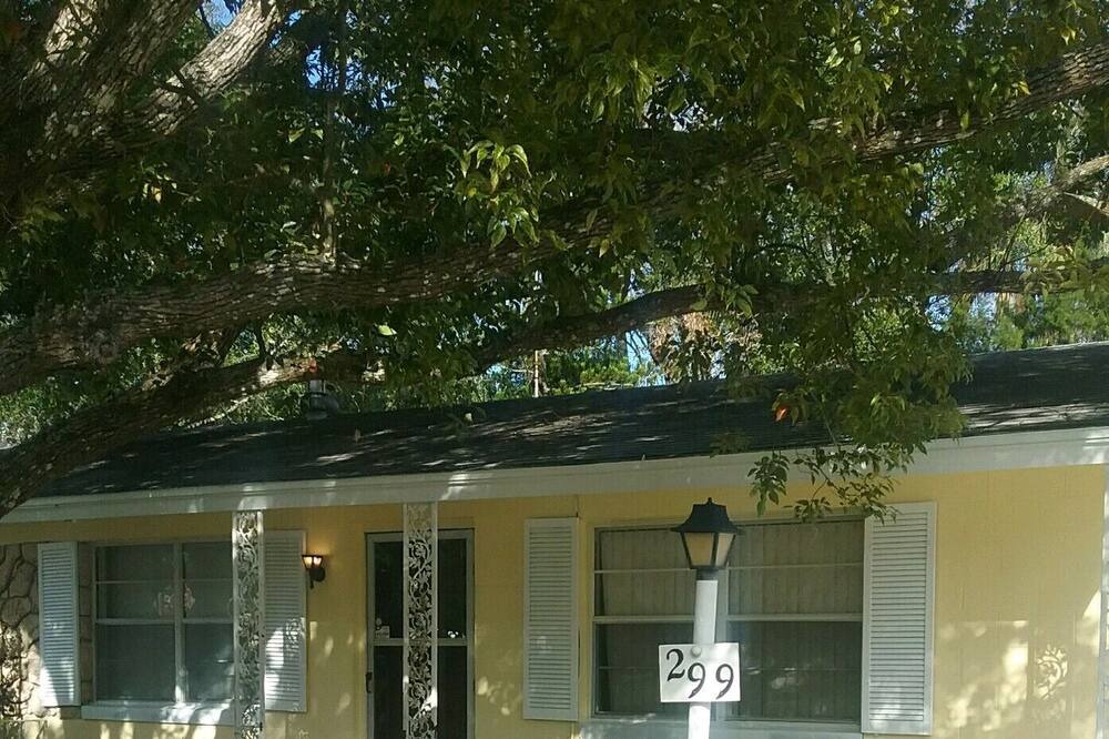 Photo of Outdoor in Holly Hill