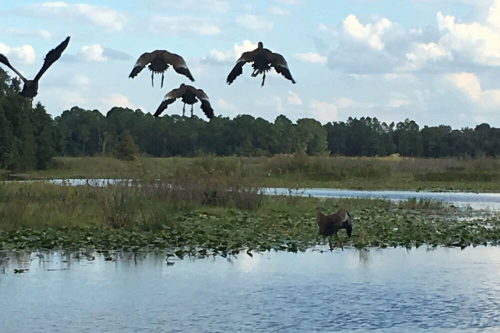 Photo of Outdoor in Hernando