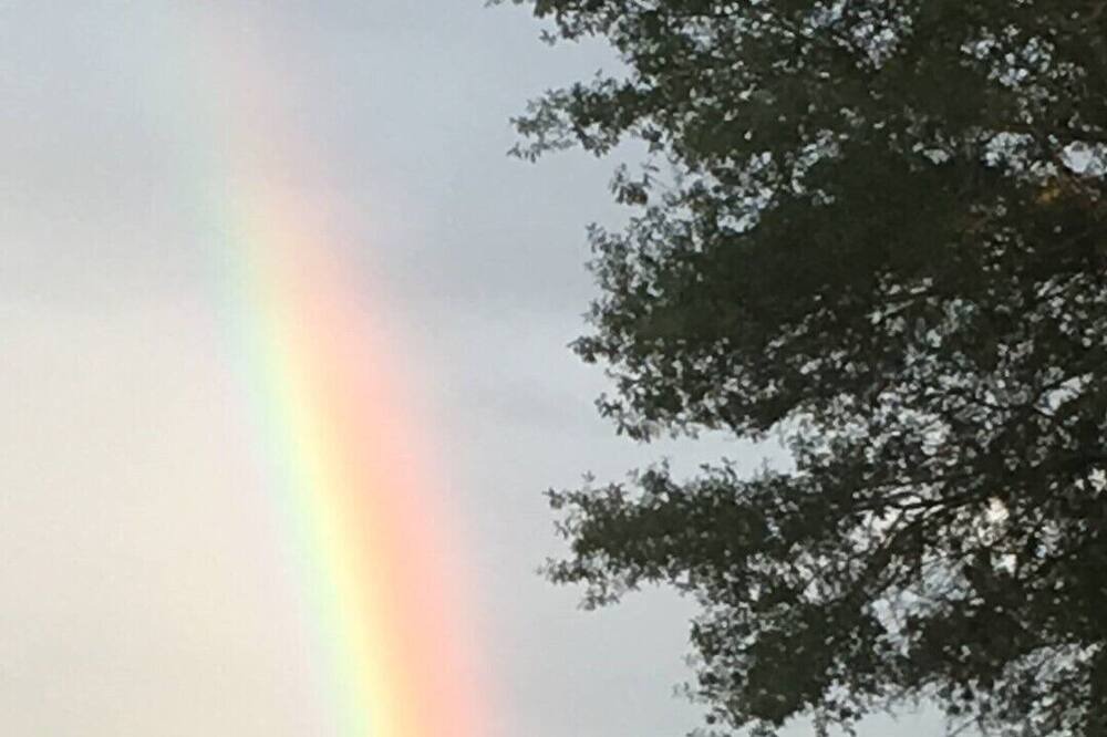 Photo of Others in Hernando