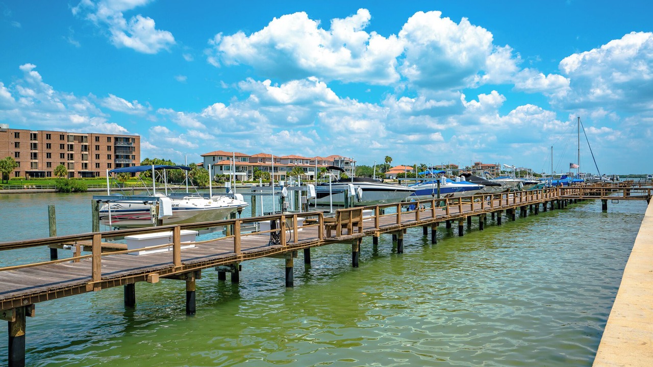 Photo of Others in Bayway Isles