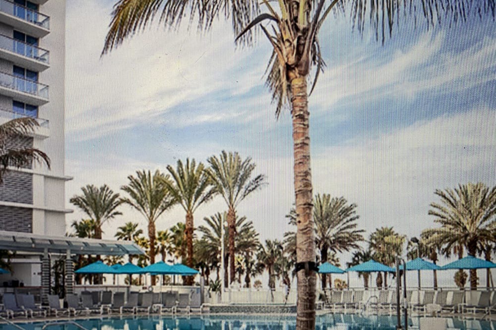 Photo of Outdoor in Clearwater Beach