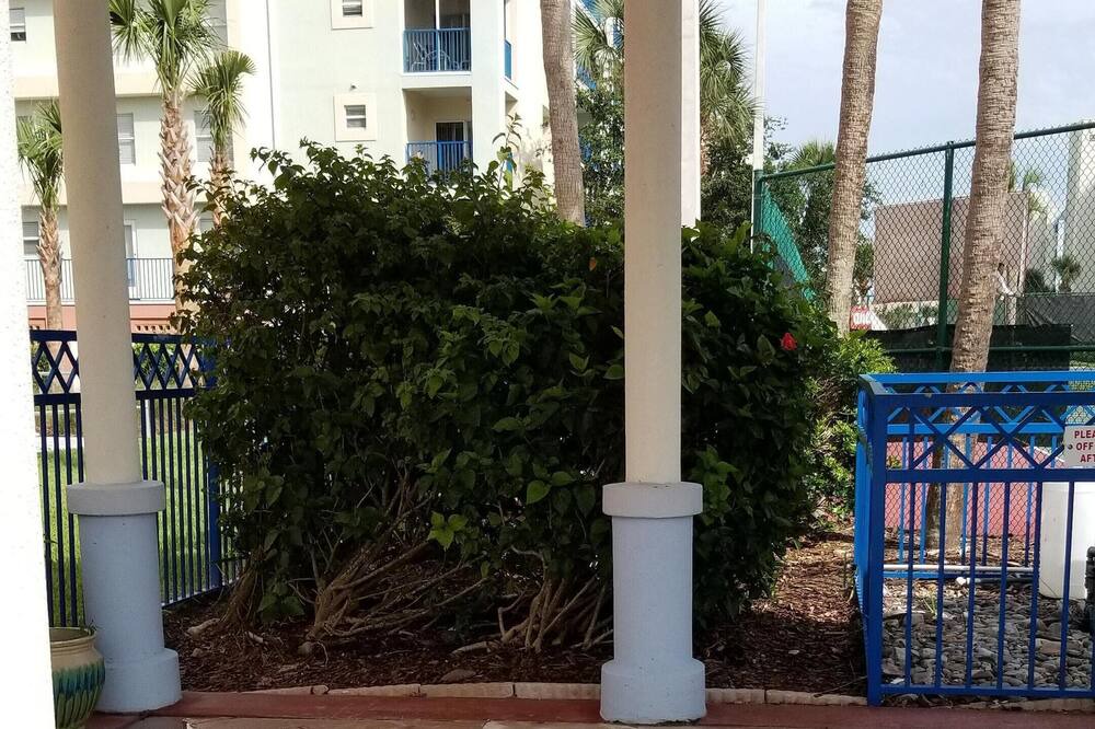 Photo of Others in New Smyrna Beach