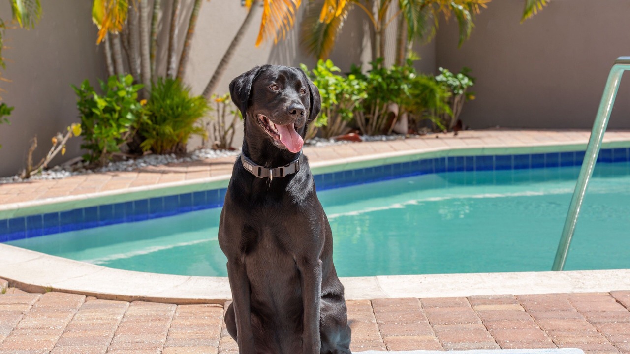 Photo of Outdoor in Oldsmar