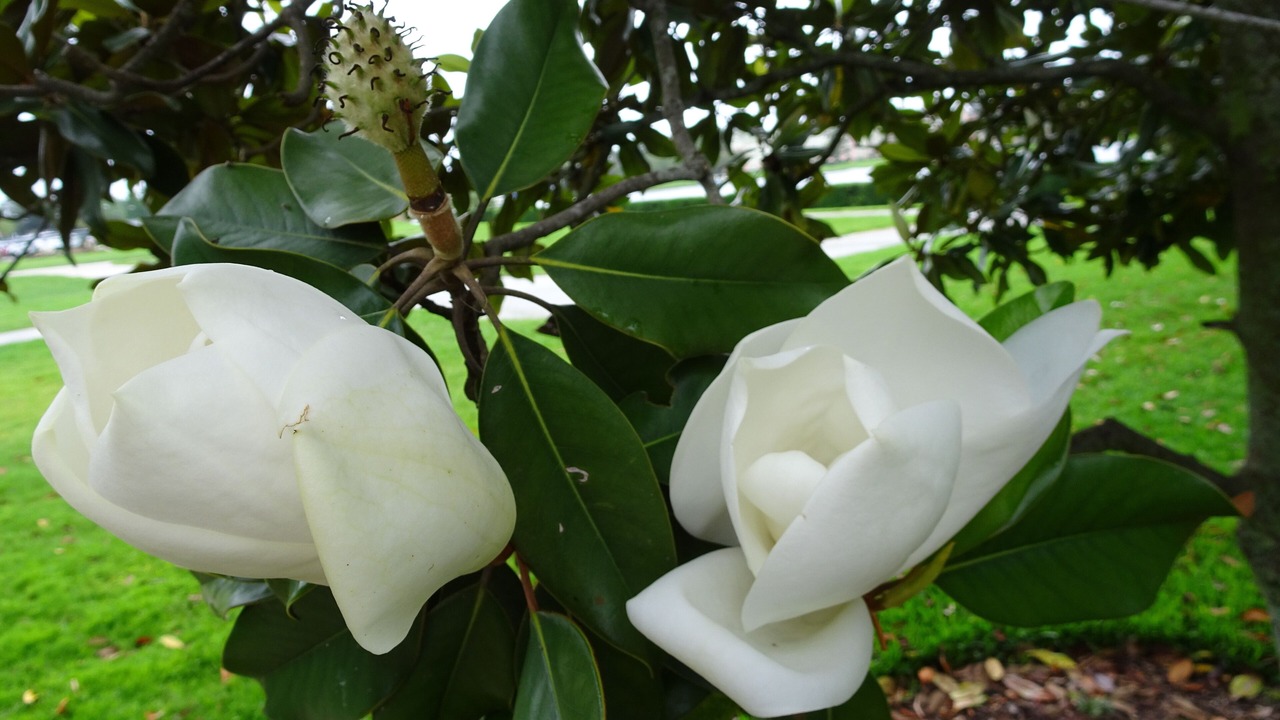 Photo of Outdoor in Highlands Reserve