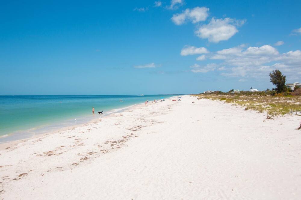 Photo of Outdoor in Sand Key