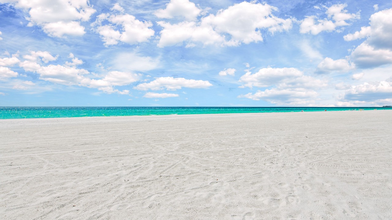 Photo of Others in Bradenton Beach