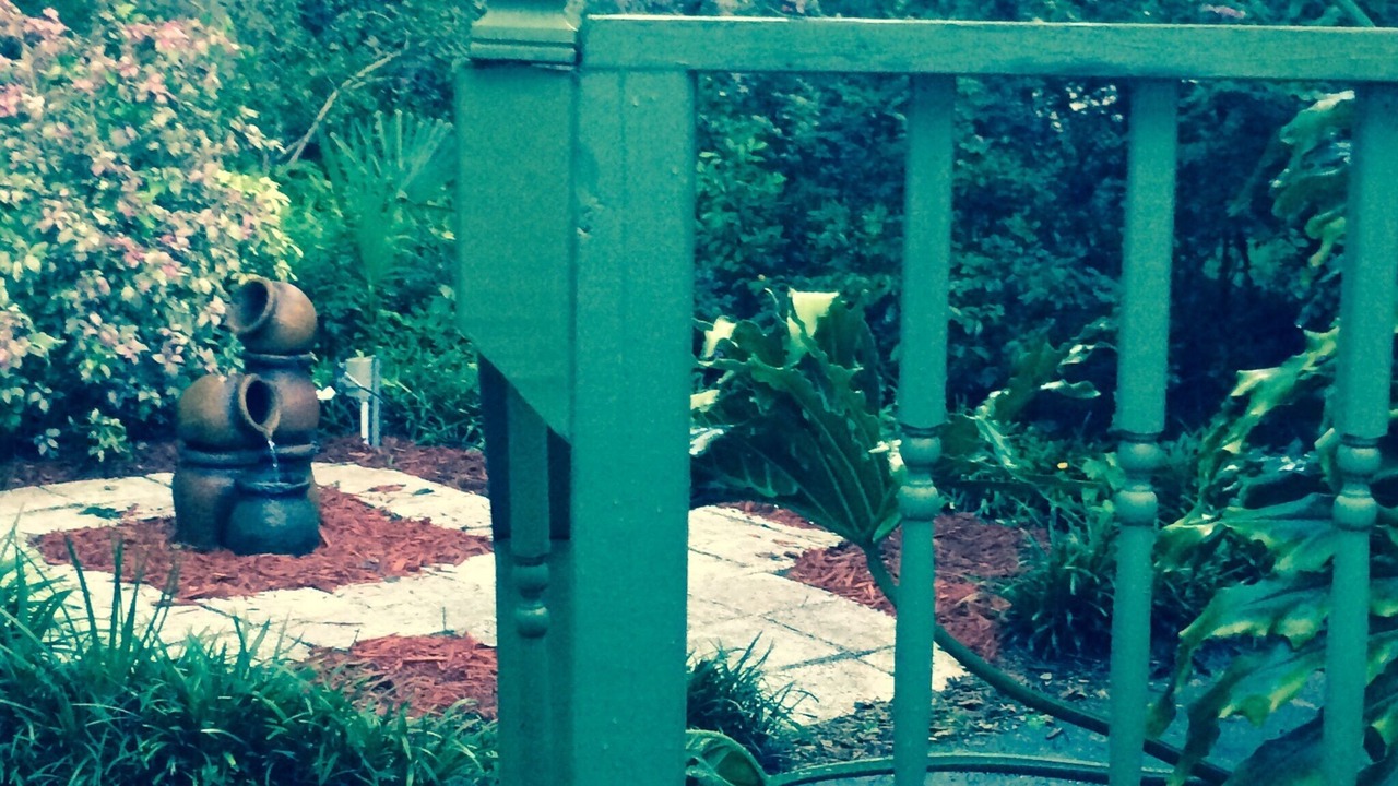 Photo of Outdoor in Davenport