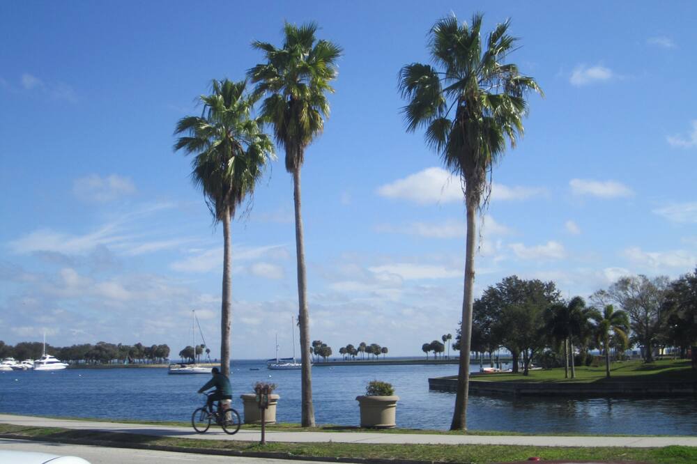 Photo of Others in Coquina Key