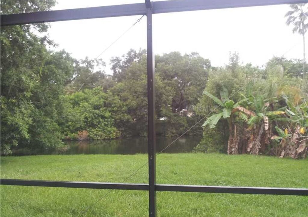 Photo of Outdoor in South Sarasota
