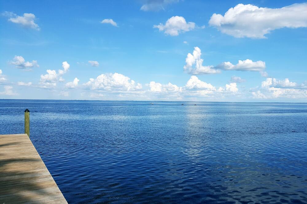 Photo of Others in Coquina Key
