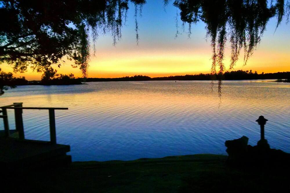 Photo of Others in Homosassa