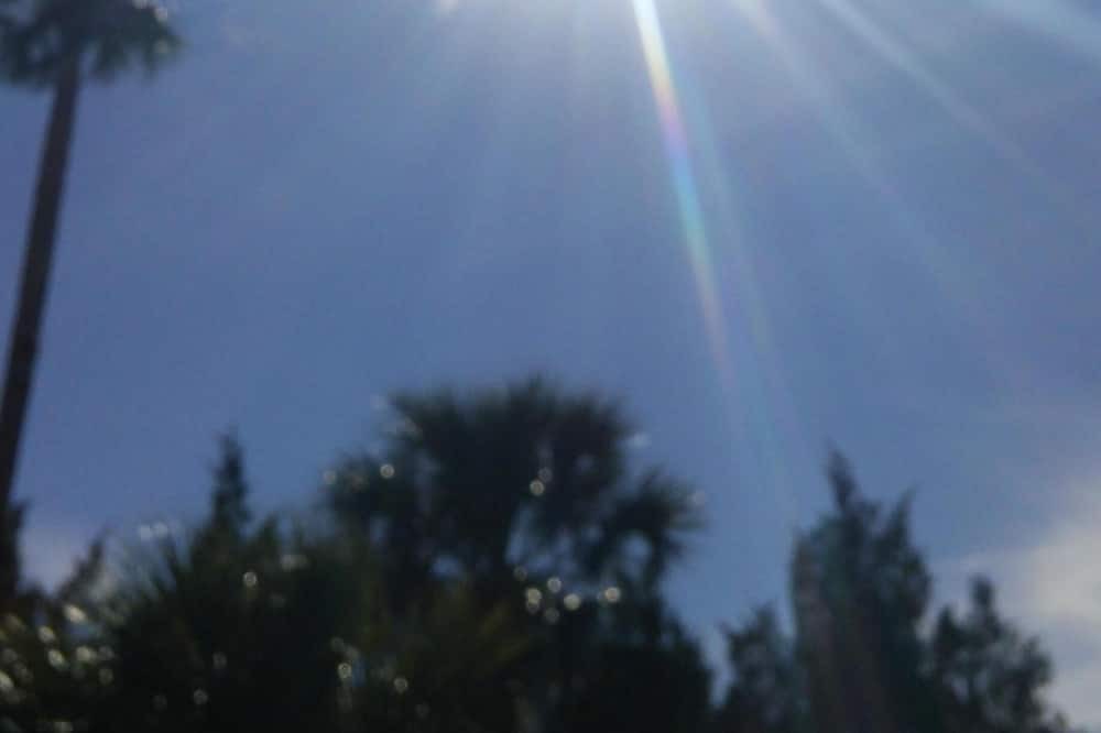 Photo of Others in Pasco County