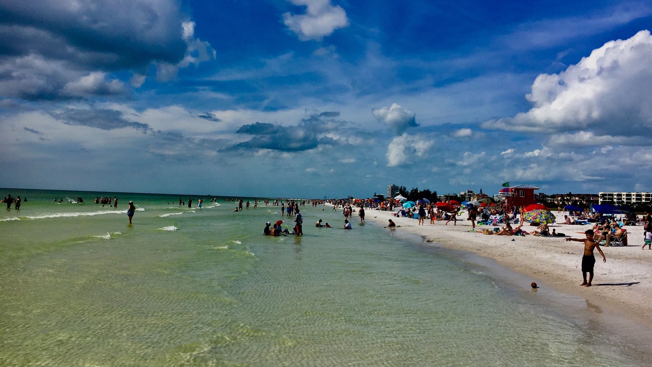 Photo of Others in South Sarasota