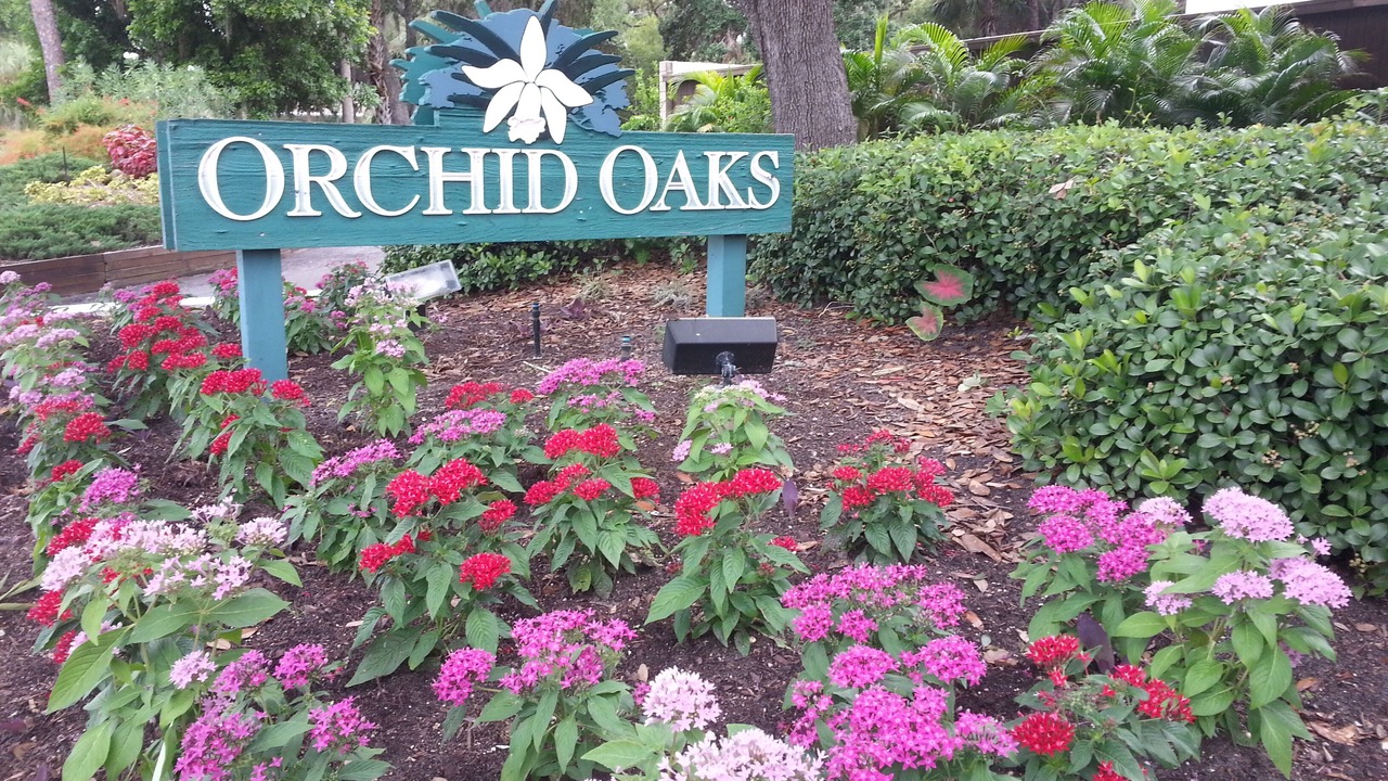Photo of Outdoor in South Sarasota
