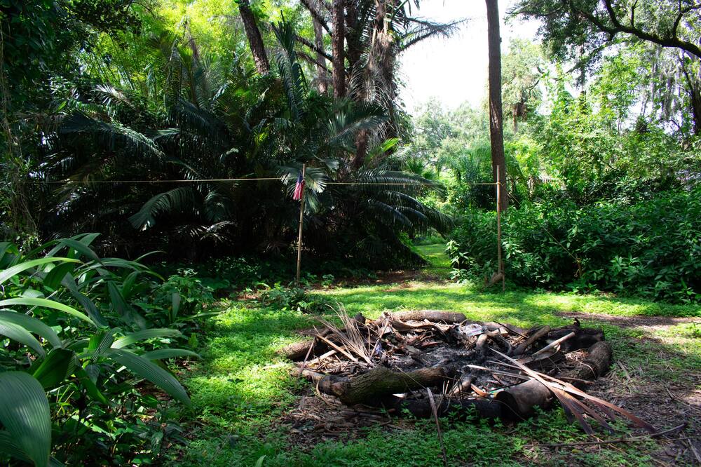 Photo of Others in Palm River-Clair Mel
