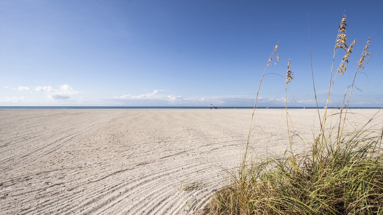 Photo of Others in Madeira Beach