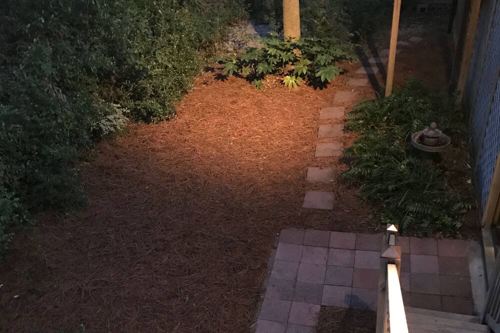 Photo of Outdoor in Folly Beach